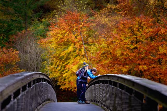 The Autumn equinox explained - has Autumn begun in the UK? (Photo: Getty Images) 