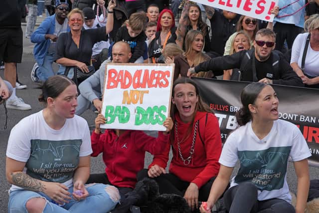 People take part in a protest in central London,  against the Government's decision to add XL bully dogs to the list of prohibited breeds under the Dangerous Dogs Act following a spate of recent attacks. Picture date: Saturday September 23, 2023. PA Photo. Photo credit should read: Jeff Moore/PA Wire