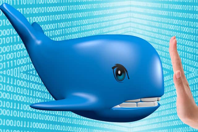 The blue whale game, which originated on social media platforms, has been linked to the deaths of numerous teenagers and young adults in the last few years. Composite image by NationalWorld/Mark Hall.