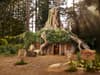 Shrek’s Swamp AirBnB: Rare opportunity for ogre enthusiasts to rent DreamWorks shack this Halloween