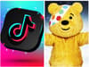 Children in Need 2023: TikTok announces collaboration with BBC charity initiative for 'biggest ever campaign'
