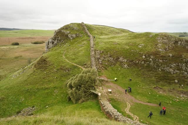The tree at Sycamore Gap, next to Hadrian's Wall in Northumberland, has come down overnight after being "deliberately felled," the Northumberland National Park Authority has said (Photo: Owen Humphreys/PA Wire)