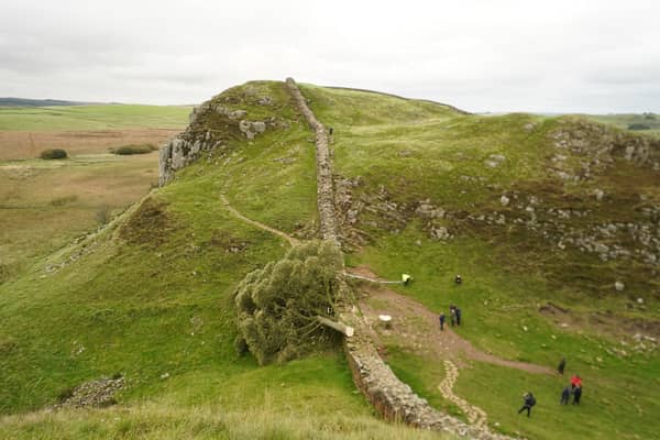 People look at the tree at Sycamore Gap, next to Hadrian's Wall in Northumberland which has come down overnight after being "deliberately felled," the Northumberland National Park Authority has said (Photo: Owen Humphreys/PA Wire)