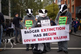 Environmental campaigners protesting outside Defra's offices in Central London in response to the State of Nature report (Photo: Yui Mok/PA Wire)