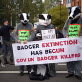 Environmental campaigners protesting outside Defra's offices in Central London in response to the State of Nature report (Photo: Yui Mok/PA Wire)