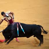 Spanish matador Jose Maria Manzanares performs a pass with a muleta on a bull during a bullfight at the Malagueta bullring in Malaga (Photo by JORGE GUERRERO/AFP via Getty Images)