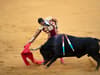 Bullfighting: controversial 'blood sport' excluded as Spain tightens animal welfare rules with new law