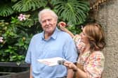 The wax figure of broadcaster and conservationist Sir David Attenborough in the urban jungle of Barbican Conservatory (Photo: Madame Tussauds)