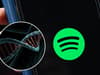 How to use Spotify data to create a distinct DNA chart to visually show what you listen to the most