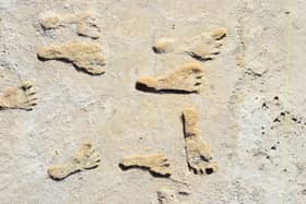 Oldest fossilised human footprints found in North America are over 20,000 years old (SWNS)