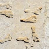Oldest fossilised human footprints found in North America are over 20,000 years old (SWNS)