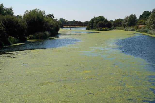It can be hard to see blue-green algae unless it has collected together. (Photo: Jonathan Brady/PA Wire) 