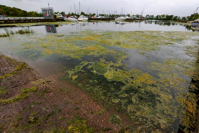 Public outrage over the polluted and toxic waters in the Lough Neagh is escalating. (Photo: Liam McBurney/PA Wire) 