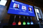 French-born Moungi Bawendi, Louis Brus of the United States and Russian-born Alexei Ekimov on Wednesday won the Nobel Chemistry Prize for research in tiny particles known as quantum dots. (Image: JONATHAN NACKSTRAND/AFP via Getty Images)