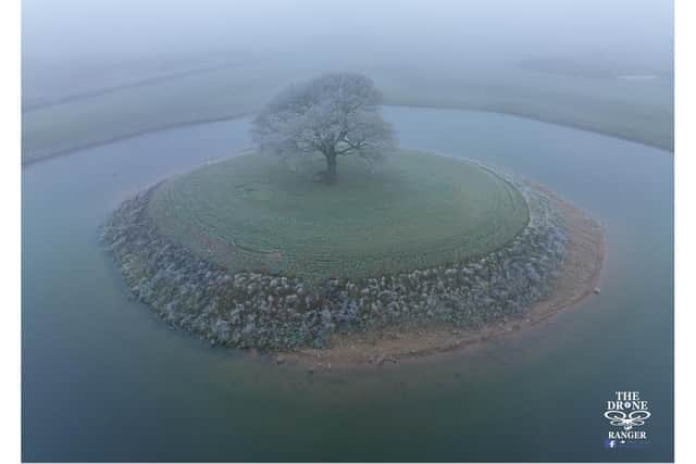 This aerial picture of a single tree on an island near Doncaster has gone viral. (Photo: The Drone Ranger).
