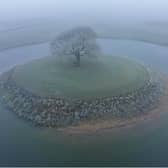 This aerial picture of a single tree on an island near Doncaster has gone viral. (Photo: The Drone Ranger).