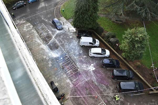Paul Burton, 45, and 37-year-old Nathan Turner threw paint over patrol cars and other vehicles from an eighth floor flat during a 12-hour stand-off with armed officers - which had been triggered by a row over a takeaway