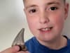 Schoolboy, 12, finds rare shark tooth while walking on Essex beach - and he wants to know more