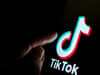 TikTok is used by incels to spread ‘hateful beliefs’ about women, research suggests