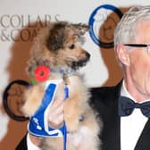 Late broadcaster and presenter Paul O'Grady was a long-time ambassador for Battersea (PA Wire)