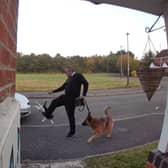The man was caught on a doorbell camera appearing to kick the elderly cat into the road (still from video/NationalWorld)