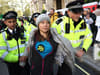 Greta Thunberg: climate activist detained by police at major London oil and gas summit protest