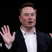 SpaceX, Twitter and electric car maker Tesla CEO Elon Musk (Photo: JOEL SAGET/AFP via Getty Images)