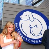 Ricky Gervais, Amanda Holden, and Martin Clunes are in the running to be the new presenter on For the Love of Dogs