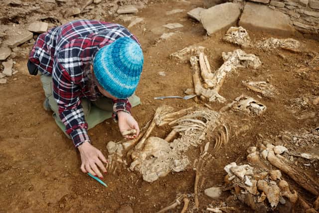 Archaeologists have discovered the ruins of an incredibly rare 5000-year-old Neolithic tomb that was largely destroyed without record in the 19th century. (National Museums Scotland)