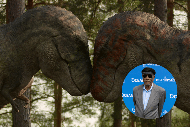 Morgan Freeman narrated four billion years of history with Netflix's 'Life on Our Planet Earth' (Credit: Netflix/Gettys)