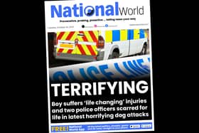 Recent dog attacks have hit the front pages