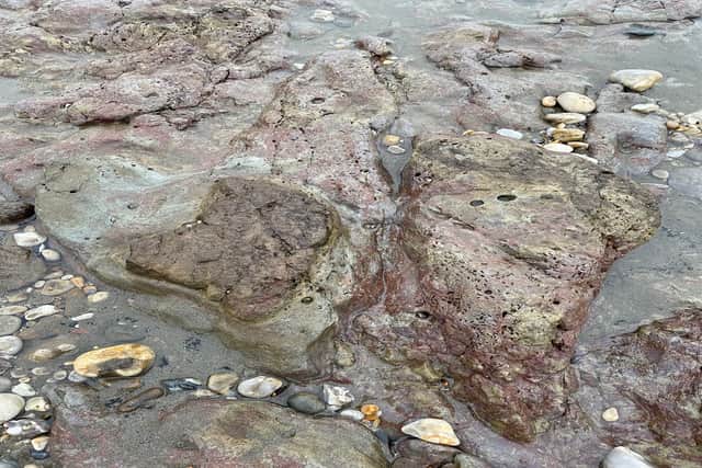 Dinosaur footprints found at Yaverland on the Isle of Wight during excavation work by the Environment Agency to bolster sea defences. (JBA Consulting/Environment Agency)