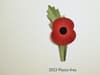 Remembrance Day: Royal British Legion debuts new plastic-free poppy redesign