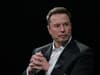 Elon Musk's X: All the changes the businessman has made to the platform formerly known as Twitter a year on