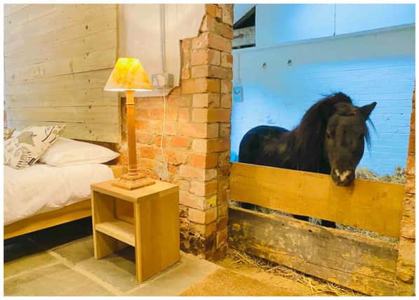 The “truly unique” Airbnb property has a bedroom next to a barn where a miniature horse called Basil sleeps. (Photo: Brittany - Airbnb listing) 