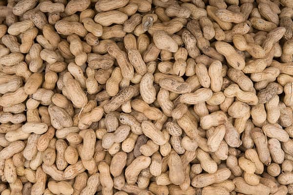 A man who was sacked after almost dying from an allergic reaction to peanuts has successfully sued his former employer. Credit: AFP via Getty Images