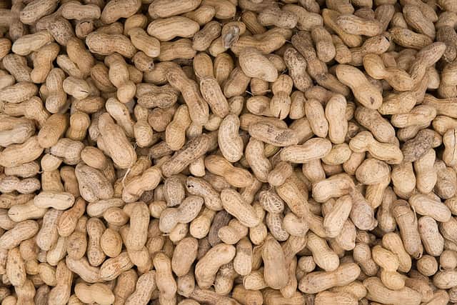 A man who was sacked after almost dying from an allergic reaction to peanuts has successfully sued his former employer. Credit: AFP via Getty Images