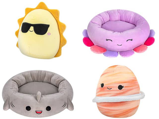 Your dog and cat can get in on the Squishmallows trend as Pets at Home have launched a new range of cat and dog beds and dog toys. Photos by Pets at Home.