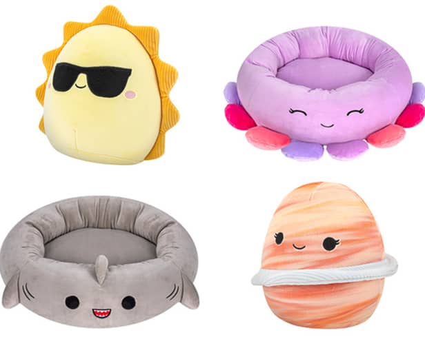 Your dog and cat can get in on the Squishmallows trend as Pets at Home have launched a new range of cat and dog beds and dog toys. Photos by Pets at Home.
