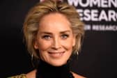 Hollywood icon Sharon Stone has dubbed Euphoria as "the greatest show on television"