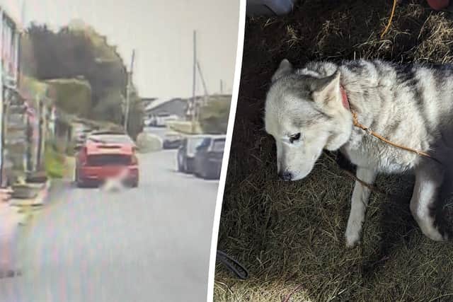 Farmer facing jail for dragging dog behind car