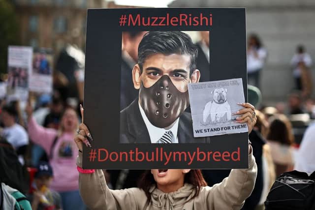 XL Bully dog supporters hold placards during a protest against the UK Government's planned ban (Photo: HENRY NICHOLLS/AFP via Getty Images)
