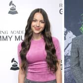 Olivia Rodrigo and Louis Partridge are reportedly dating (Getty) 