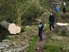 Sycamore Gap tree: two men in their thirties arrested by police investigating 'illegal felling' of famous tree