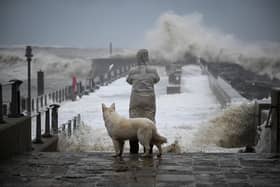 A person and their dog watch the waves as Storm Ciaran sweeps in in West Bay, Dorset (Photo: Finnbarr Webster/Getty Images)