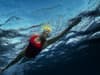 Nyad on Netflix: The shocking true story behind film on Diana Nyad and why is it controversial