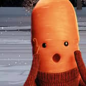 Kevin the Carrot as seen in Aldi's 2022 Christmas campaign (Image: Aldi)