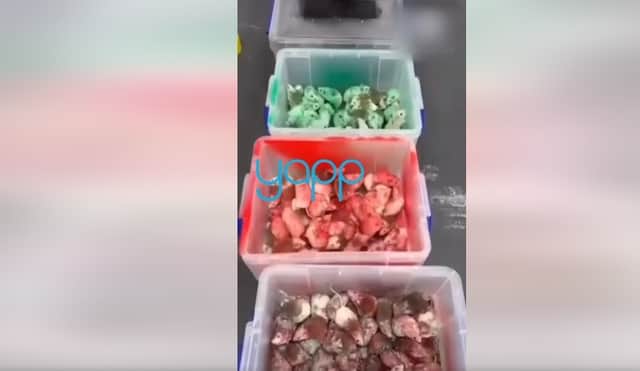 Screenshot from a video seemingly showing live mice being thrown into a McDonald's in Birmingham Screenshot taken from YappAppNews on Facebook  