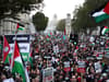 Palestine protest London: Calls grow for ‘disrespectful’ march on Armistice Day 2023 to be banned