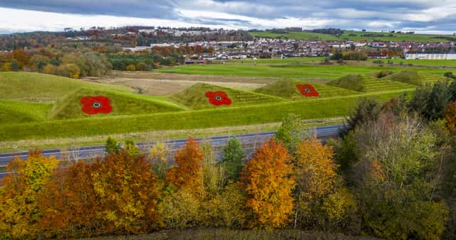 Eye-catching trio of 30ft-wide poppies are painted onto grass pyramids alongside the M8 motorway in West Lothian (SWNS)